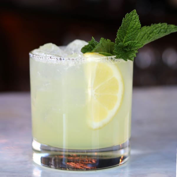 A refreshing cocktail with ice, a lemon slice, and mint garnish in a clear glass.